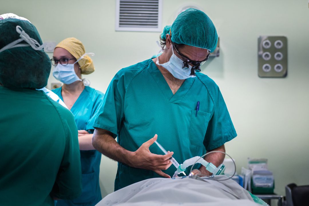 Un médico anestesia a un paciente en un quirófano. Un médico anestesia a un paciente en un quirófano.
