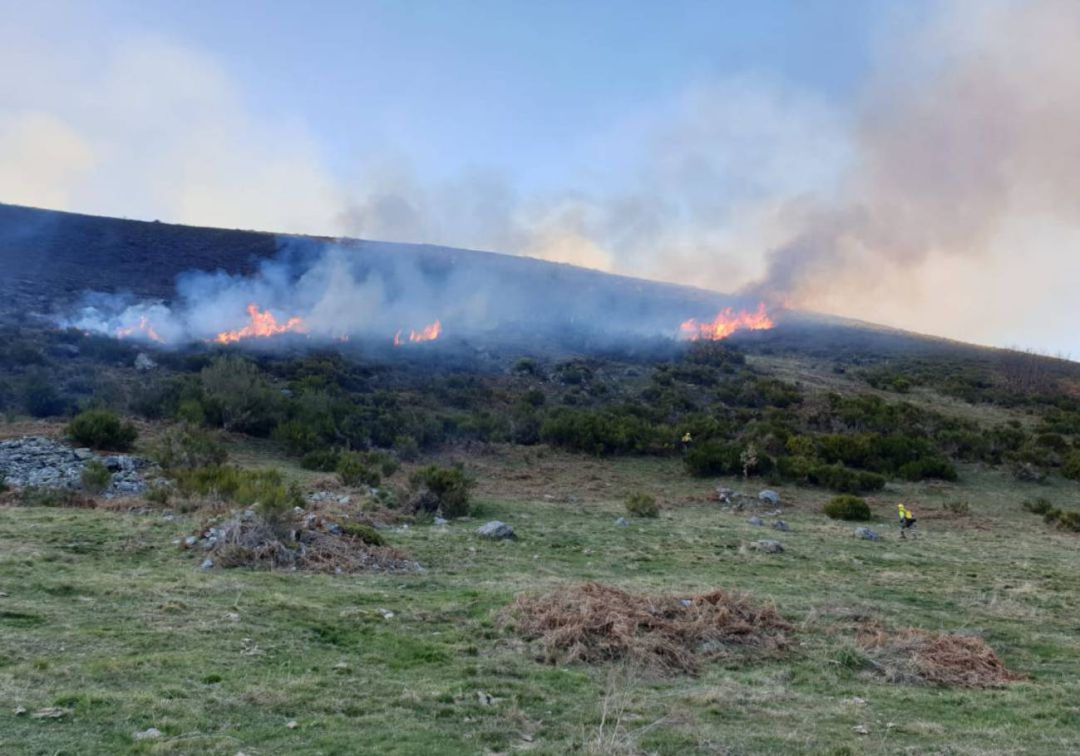Investigado un ganadero por el incendio de Benuza que arrasó 130 hectáreas en febrero
