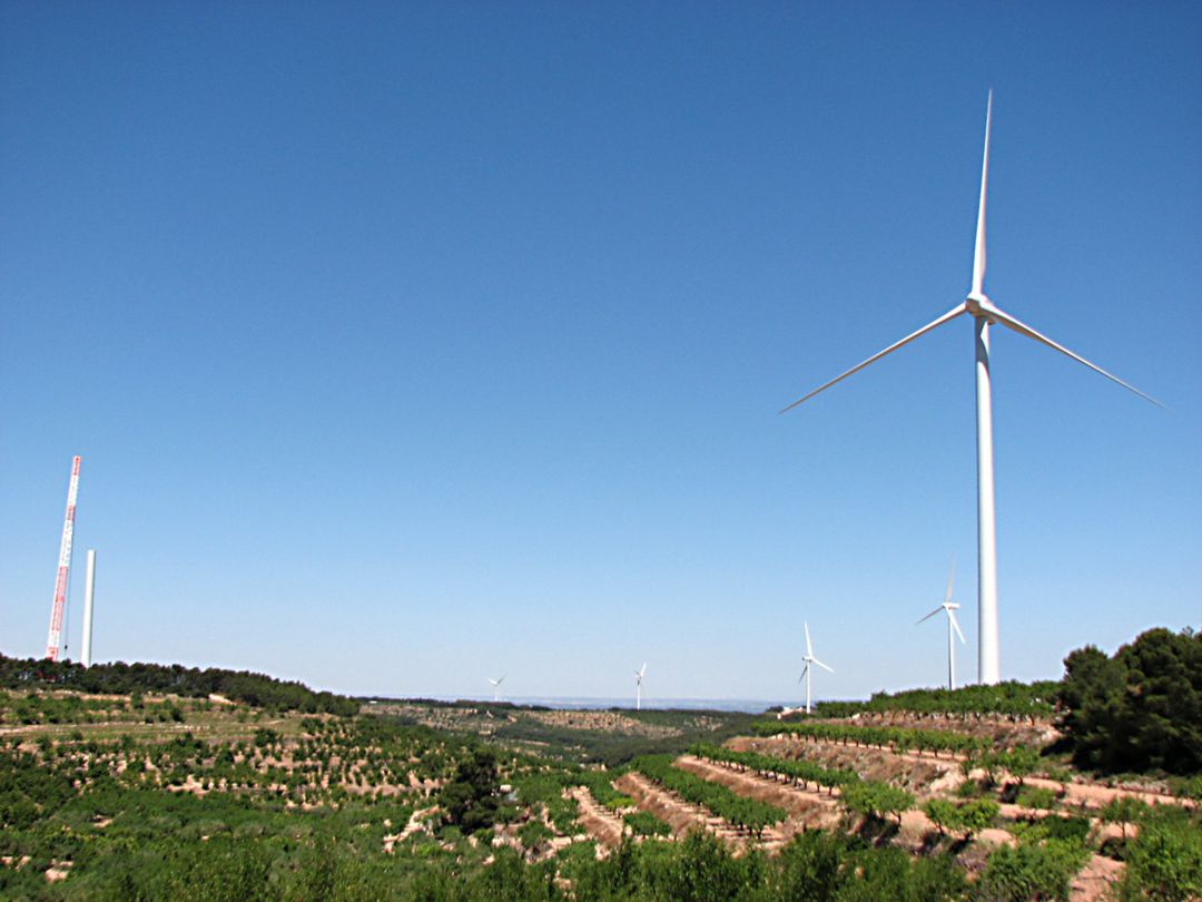 La DO del Vi Terra Alta estudiarà accions legals per impedir més parcs eòlics La DO del Vi Terra Alta estudiarà accions legals per impedir més parcs eòlics
