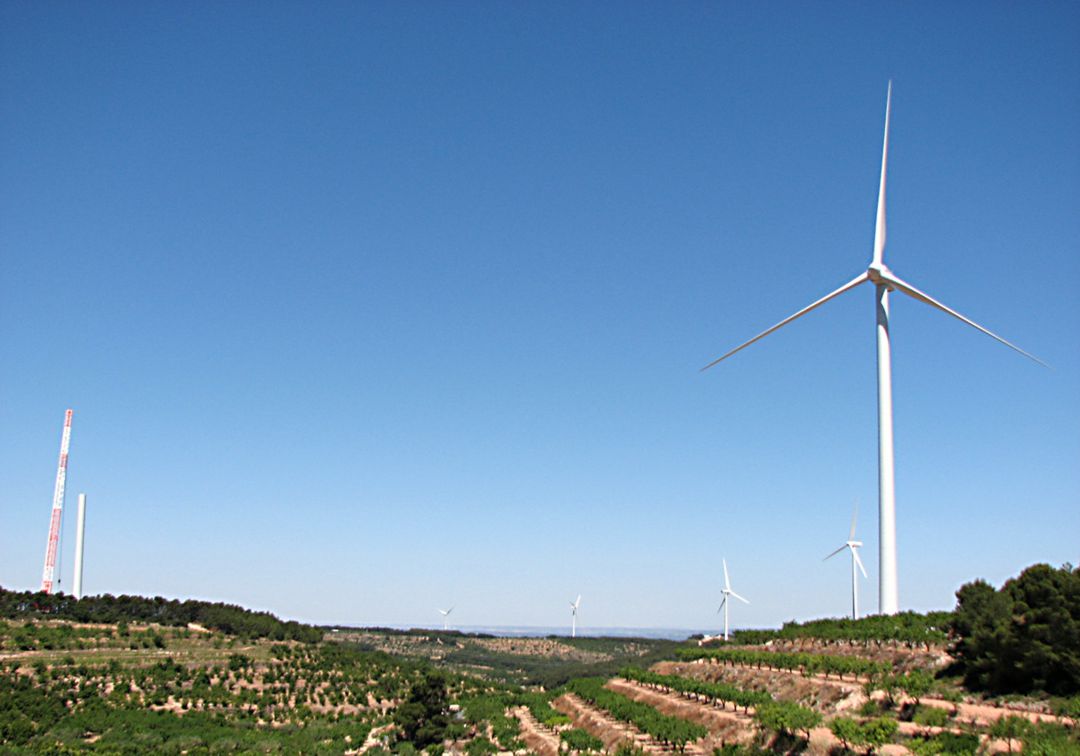 La DO del Vi Terra Alta estudiarà accions legals per impedir més parcs eòlics