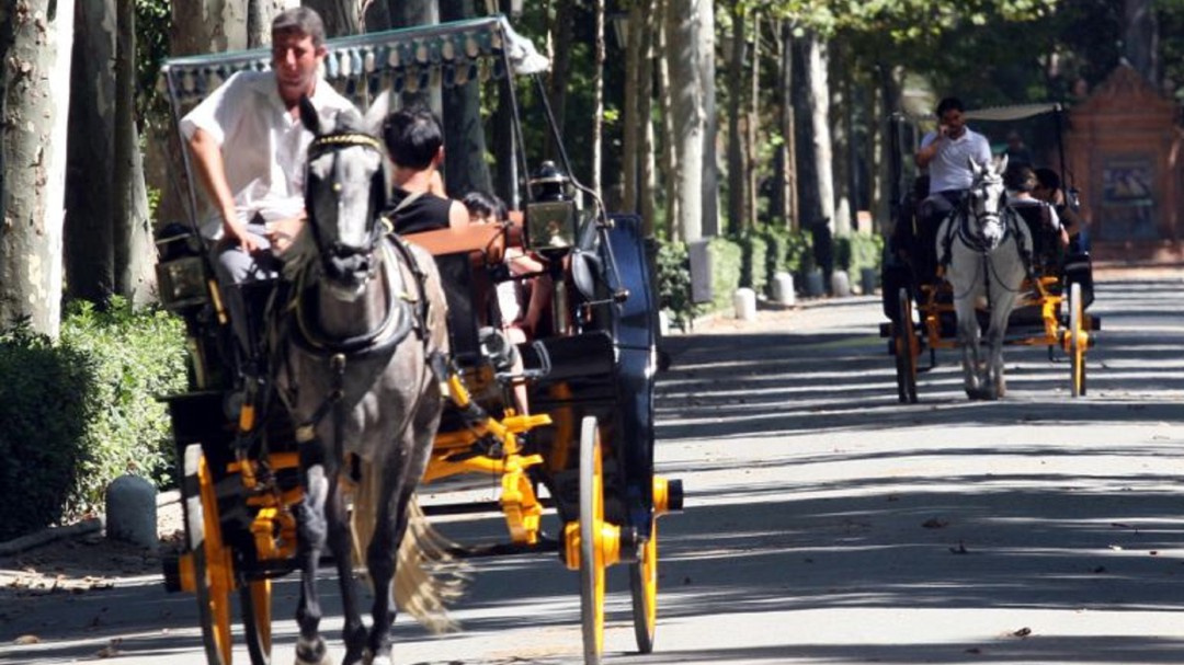 El acceso al parque de María Luisa desde la glorieta del Cid, peatonal