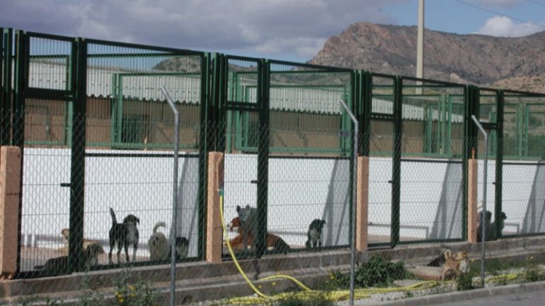 El Albergue de Animales del Vinalopó estará a punto en un mes
