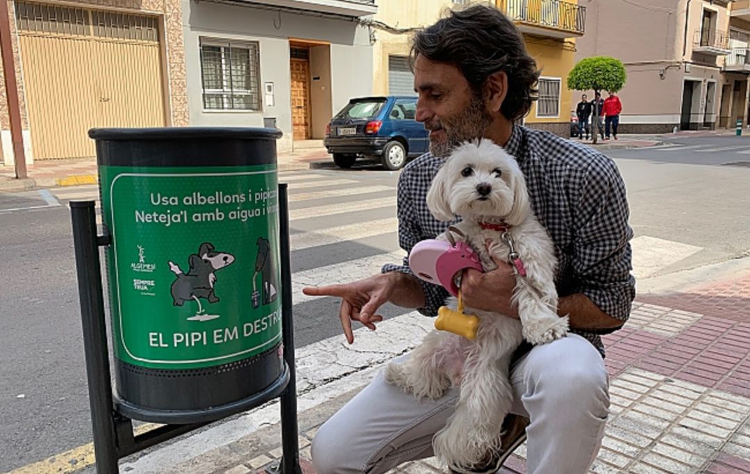 Lo que hacen en Algemesí para que los perros no orinen en las farolas Lo que hacen en Algemesí para que los perros no orinen en las farolas