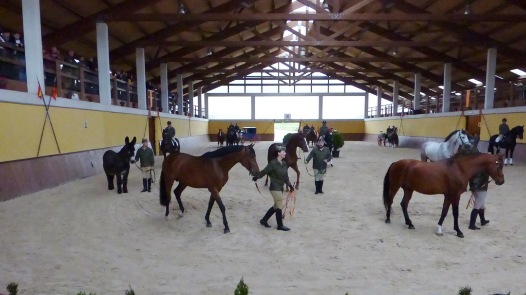 El Centro de Cría Caballar de Mazcuerras, pionero en la equinoterapia