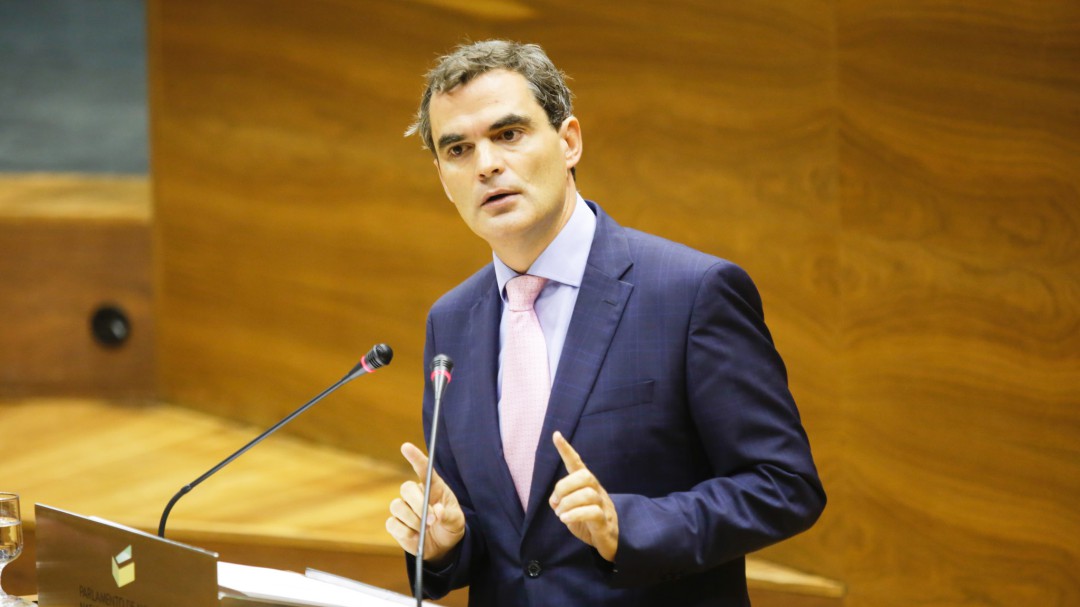 Garmendia (PSN): El cuatripartito elige "lo que le da la gana" de la comisión de Sodena