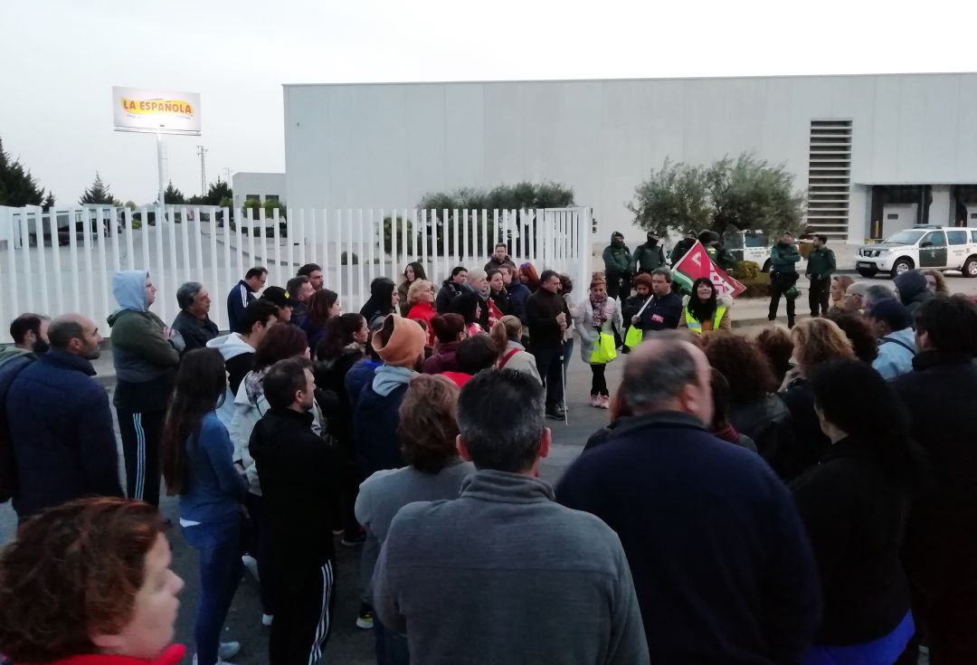Seguimiento del 70% en la huelga del aderezo de la aceituna Seguimiento del 70% en la huelga del aderezo de la aceituna