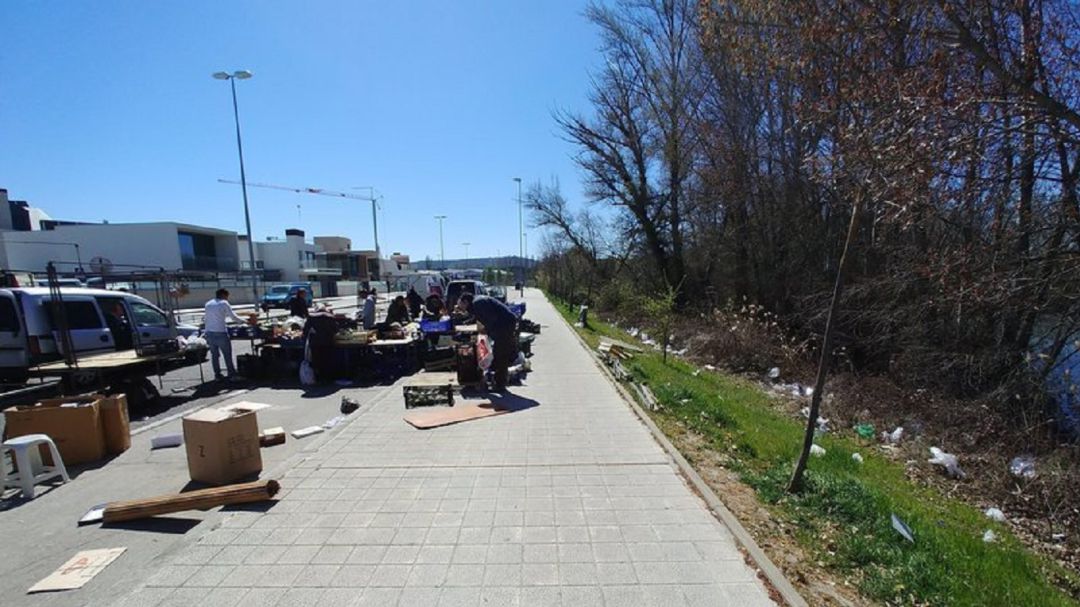 Estado en el que queda la zona del Paseo de la Julia de Palencia junto al Río Carrión Estado en el que queda la zona del Paseo de la Julia de Palencia junto al Río Carrión