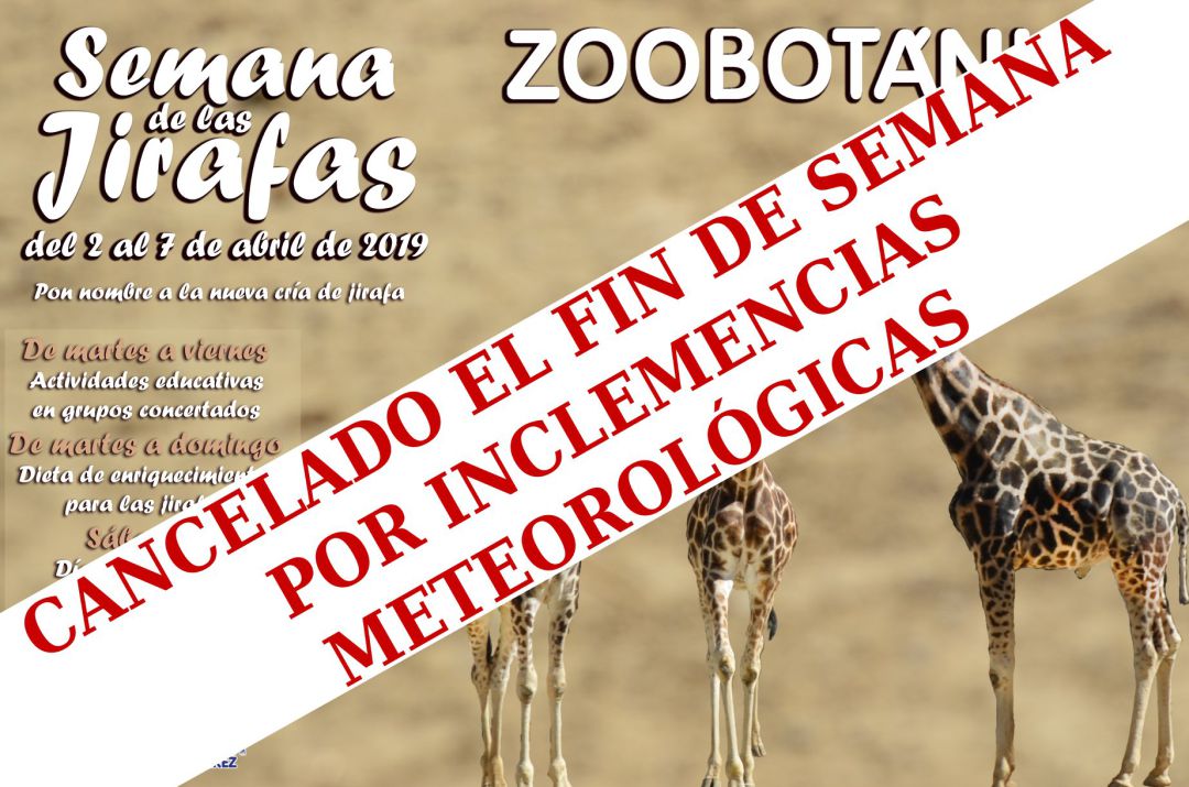 Suspendidas las actividades de la Semana de las Jirafas por la previsión de lluvias Suspendidas las actividades de la Semana de las Jirafas por la previsión de lluvias