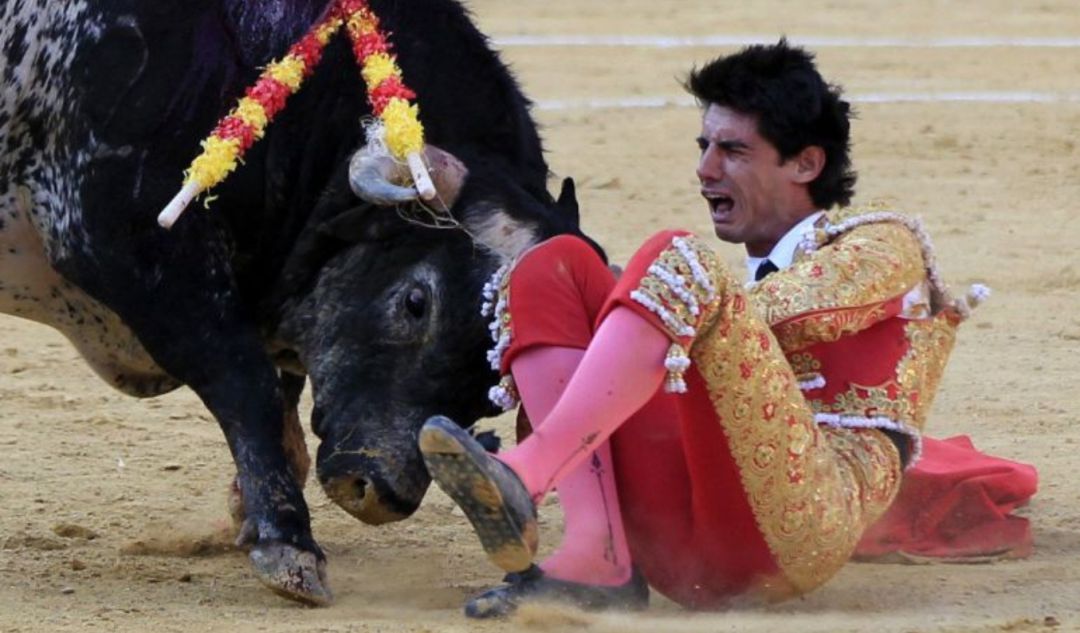 El torero Víctor Barrio El torero Víctor Barrio