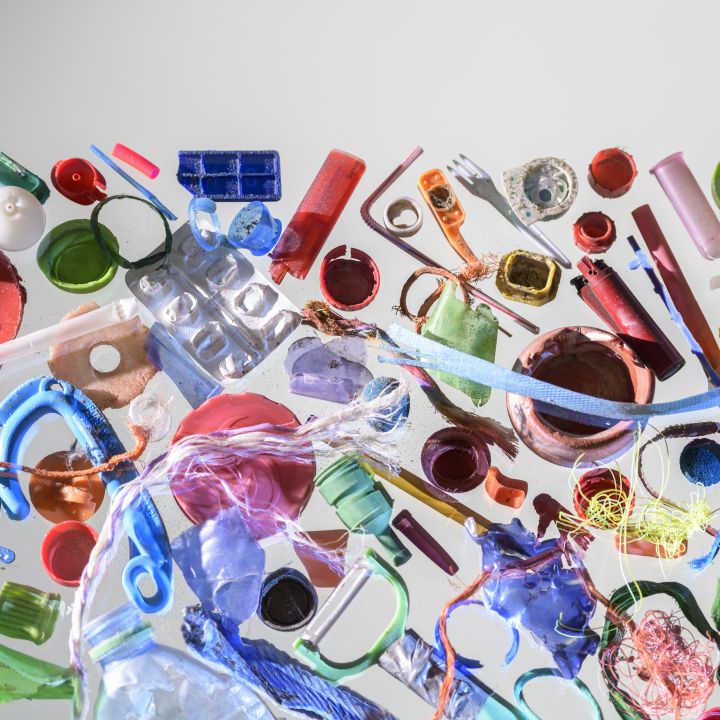 'Plastic Detox': la dieta que sí funciona