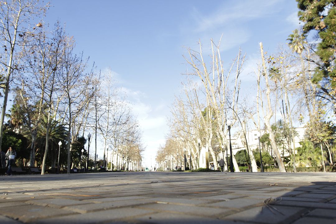 Imagen del Parque Ribalta Imagen del Parque Ribalta