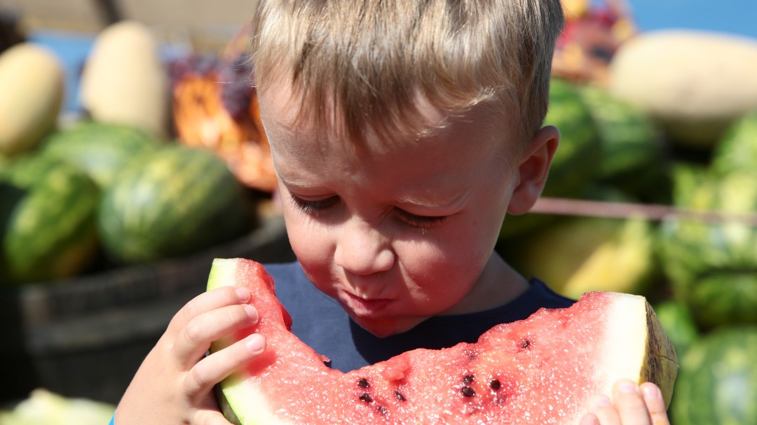 ¿Son peligrosas las dietas veganas para los niños?