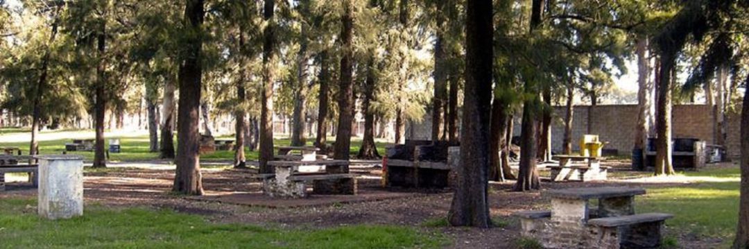 Áreas Verdes se ha venido encargando del mantenimiento del Parque Ribera Sur de Palencia, entre otras instalaciones Áreas Verdes se ha venido encargando del mantenimiento del Parque Ribera Sur de Palencia, entre otras instalaciones
