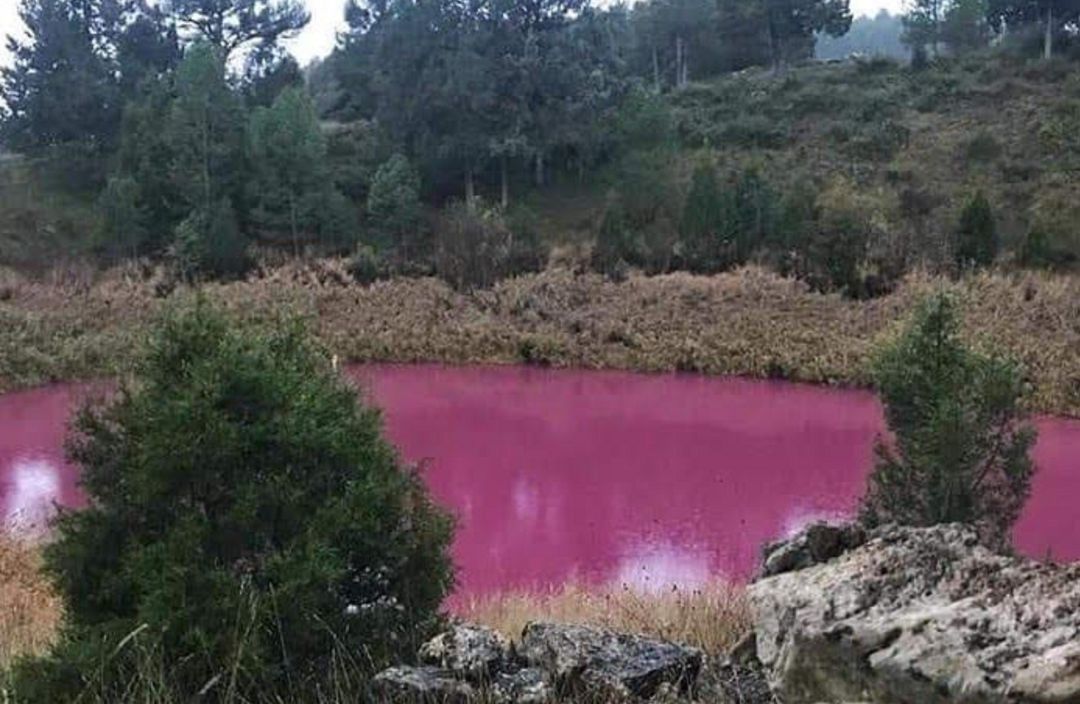 La laguna rosa, el pasado otoño La laguna rosa, el pasado otoño