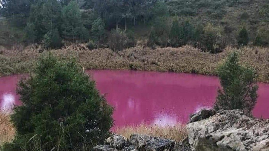 Otro análisis descarta que el color rosa de la laguna de Cañada fuera contaminación