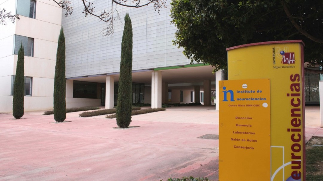 Un estudio demuestra que la actividad física prepara a las neuronas para regenerarse tras una lesión medular