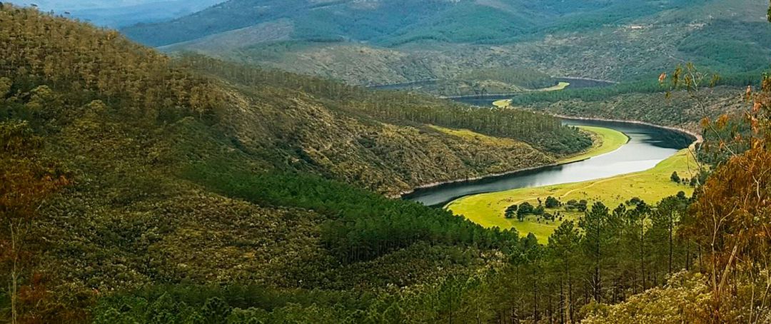 Ángel de Prado, gerente de ASAM, sobre la despoblación y el cambio climático en Salamanca: ''La izquierda, por temor a perder votos y por el discurso de la derecha, no se atreve a hablar de cambio climático': 'La izquierda, por temor a perder votos y por el discurso de la derecha, no se atreve a hablar de cambio climático' Ángel de Prado, gerente de ASAM, sobre la despoblación y el cambio climático en Salamanca: ''La izquierda, por temor a perder votos y por el discurso de la derecha, no se atreve a hablar de cambio climático': 'La izquierda, por temor a perder votos y por el discurso de la derecha, no se atreve a hablar de cambio climático'