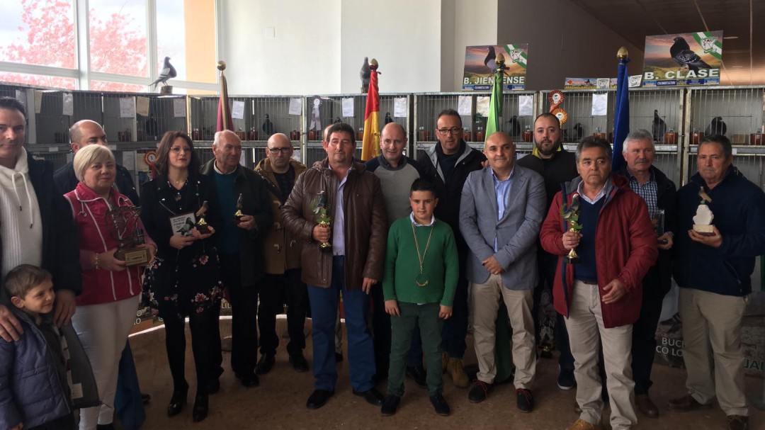 33 Campeonato Provincial de Palomas Deportivas
