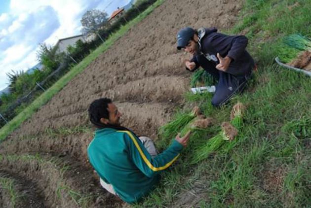Javier, a la izquierda, a punto de plantar unas cebollas con un amigo Javier, a la izquierda, a punto de plantar unas cebollas con un amigo