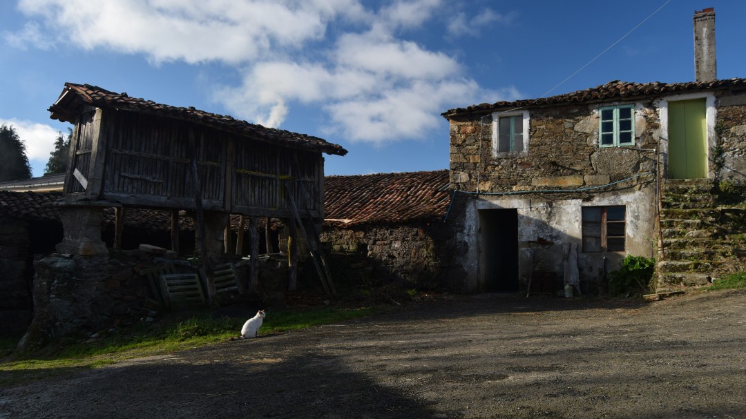 "A xente do rural vive mellor ca nunca, pero nun mundo que desaparece"