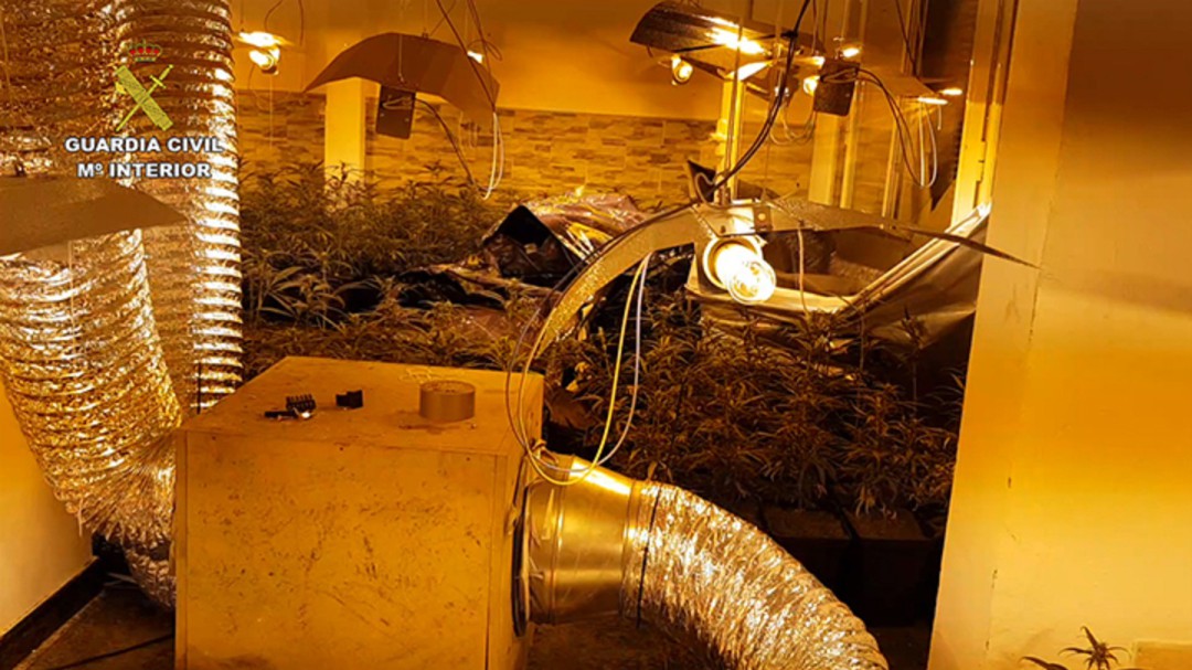 La Guardia Civil desmantela tres plantaciones de marihuana en Toledo y detiene a siete personas