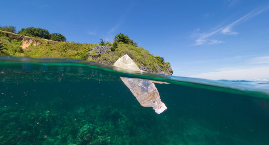 El plástico representa el 29,3 % de la basura marina, según un estudio del IEO de Murcia El plástico representa el 29,3 % de la basura marina, según un estudio del IEO de Murcia