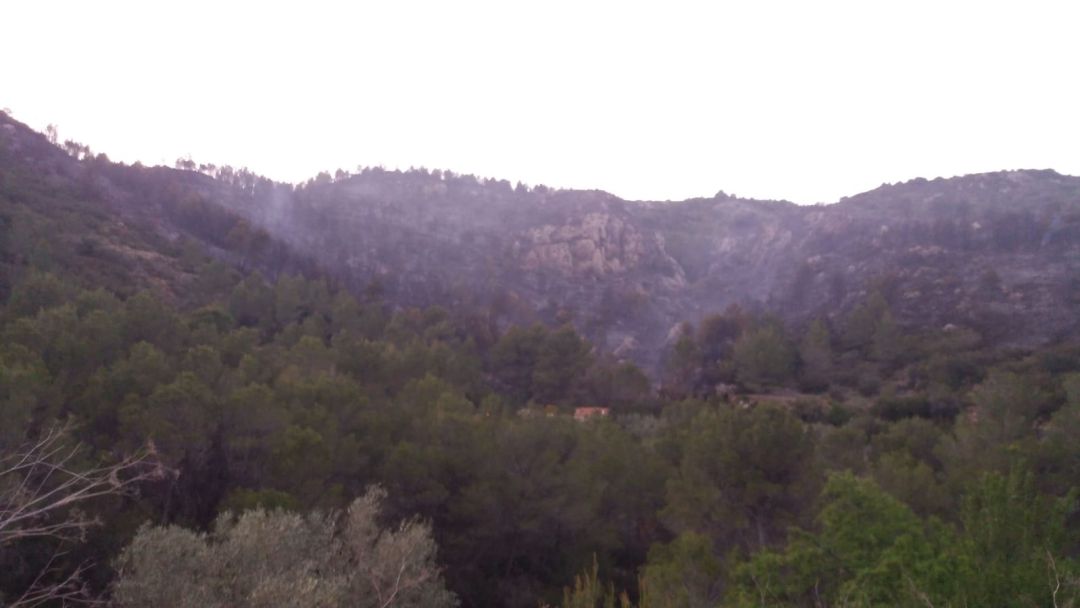 Incendio forestal en Castell de Castells. Incendio forestal en Castell de Castells.