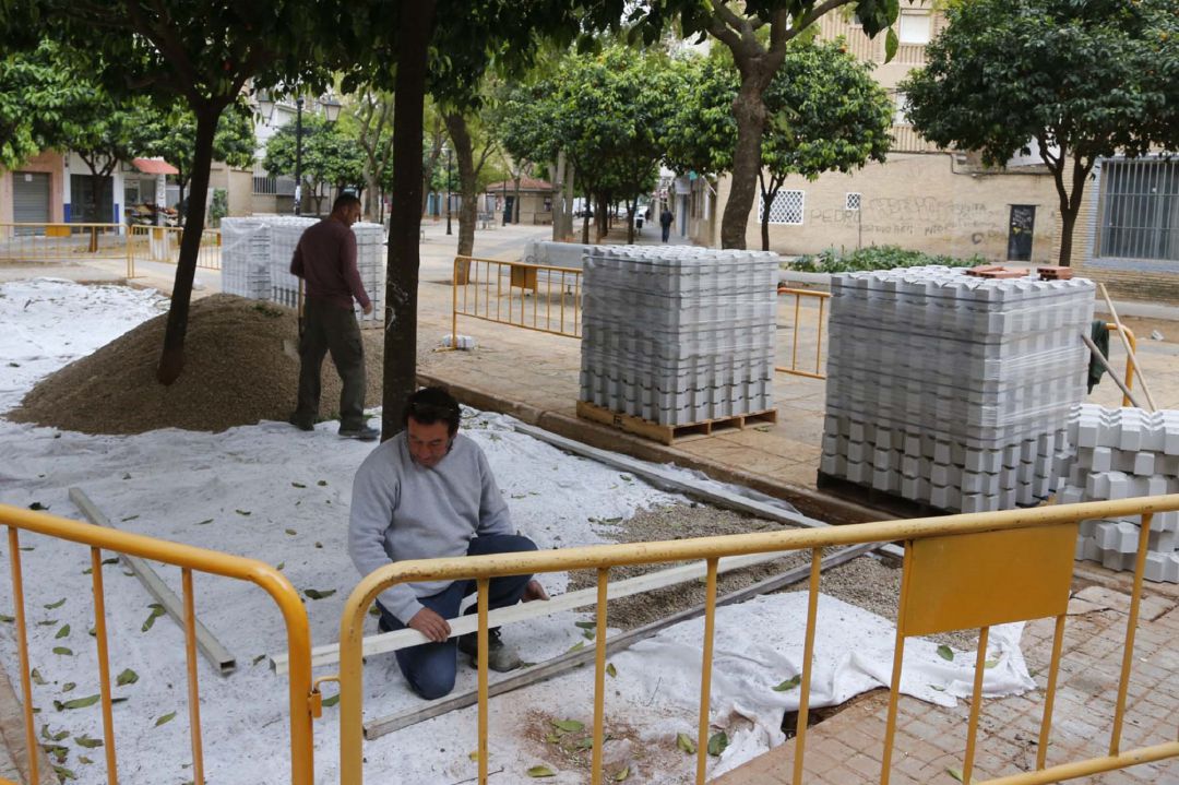 Ciudad Aljarafe renueva sus jardines Ciudad Aljarafe renueva sus jardines