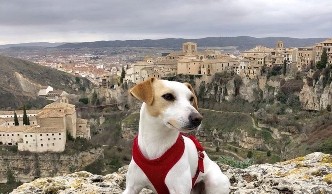 Pipper en las hoces de Cuenca. Pipper en las hoces de Cuenca.