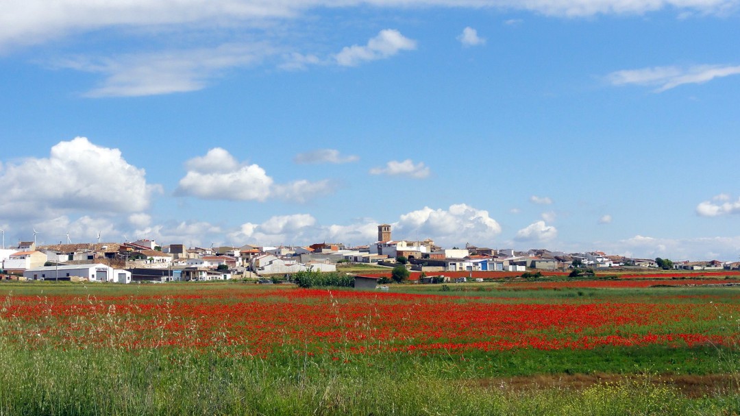 Asociacionismo y producción ecológica, el futuro de Campillo de Altobuey
