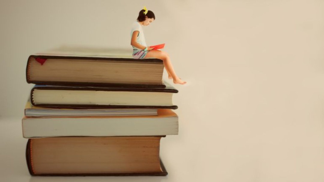 Irun celebrará el Día del Libro