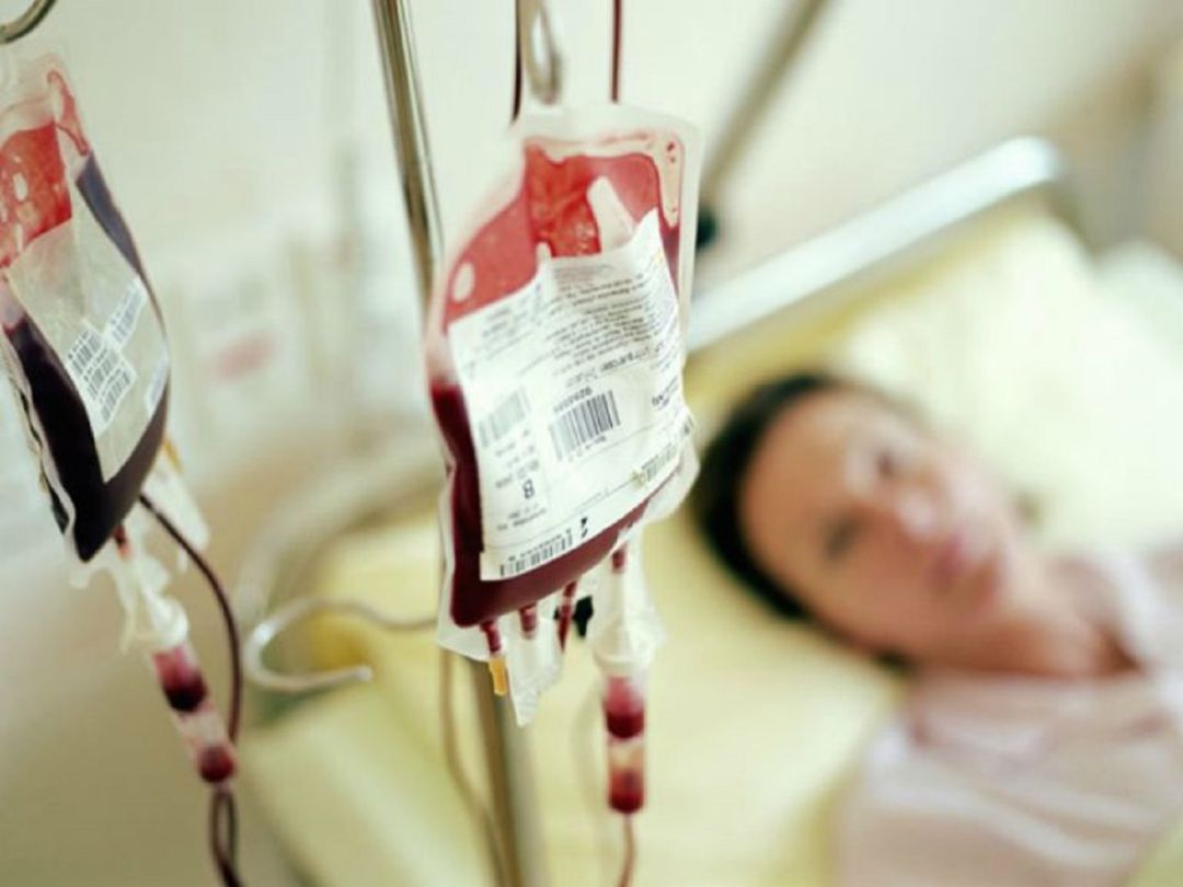 Se conmemora el Día Mundial de la Hemofilia también en Palencia Se conmemora el Día Mundial de la Hemofilia también en Palencia