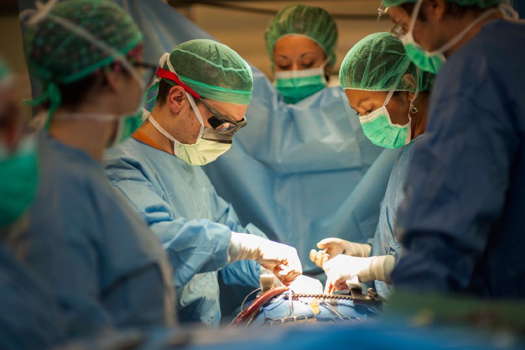 El Hospital de Bellvitge realiza siete trasplantes de órganos simultáneos en una noche. El Hospital de Bellvitge realiza siete trasplantes de órganos simultáneos en una noche.