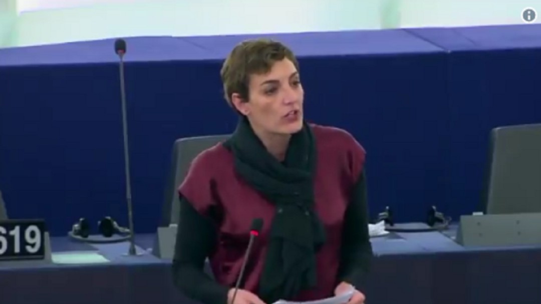 Lola Sánchez se despide del Parlamento europeo