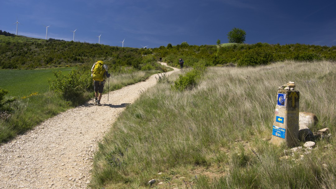 Correr el Camino de Santiago para visibilizar las enfermedades raras