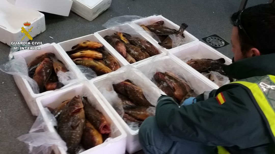 Parte del pescado decomisado Parte del pescado decomisado