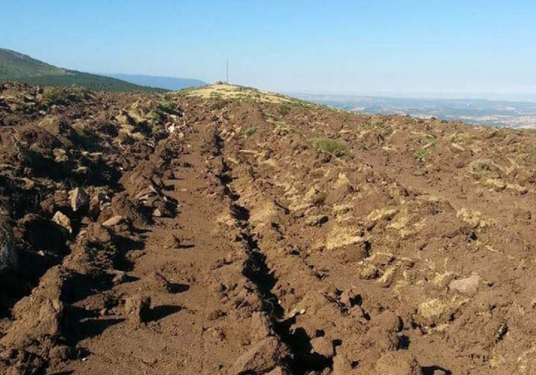 El Tribunal de Justicia de Castilla y León ordena la restauración del monte de Sigueruelo