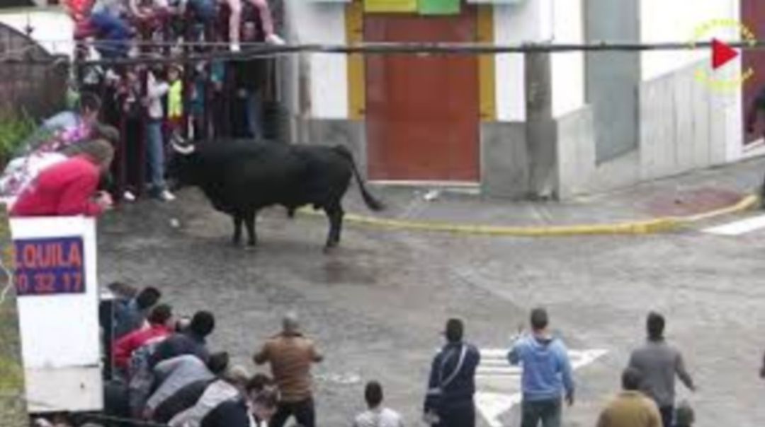 Celebración del Toro del Aleluya de Arcos de la Frontera Celebración del Toro del Aleluya de Arcos de la Frontera