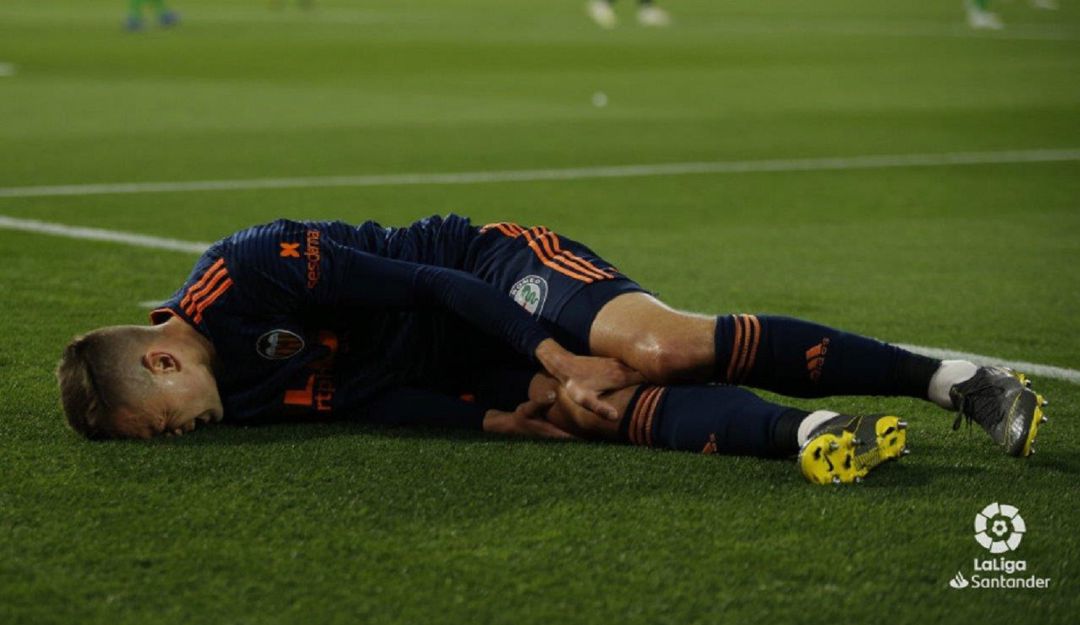 VCF VCF