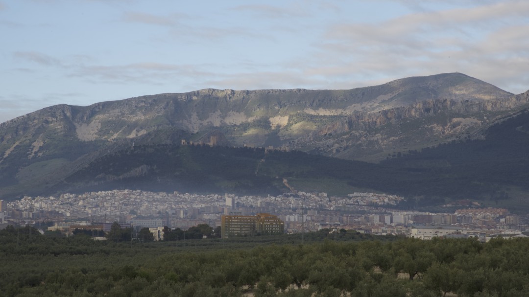 Jaén volverá a ser en 2019 la que menos crezca