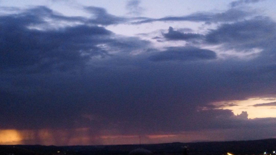 El campo respira con las últimas lluvias