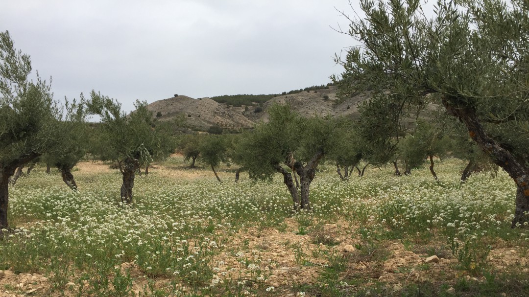 Cara y cruz de una Semana Santa en la provincia de Cuenca "pasada por agua"