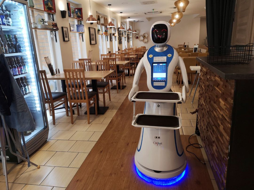 La ciencia ficción ya imaginaba un futuro en el que los robots son nuestros compañeros y ayudantes. La ciencia ficción ya imaginaba un futuro en el que los robots son nuestros compañeros y ayudantes.