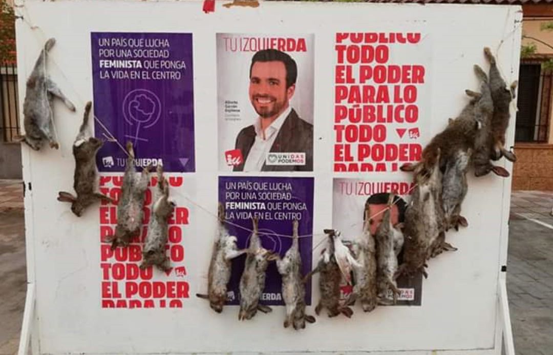 Cuelgan 16 conejos muertos de un panel de propaganda electoral Cuelgan 16 conejos muertos de un panel de propaganda electoral