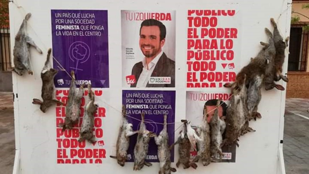 Cuelgan 16 conejos en los carteles de Unidas Podemos en Puebla de Almoradiel