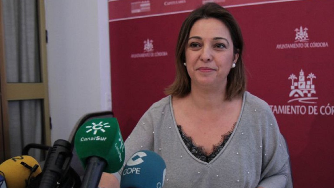 Ambrosio cree que la suspensión de viviendas turísticas debe darse más adelante y con consenso