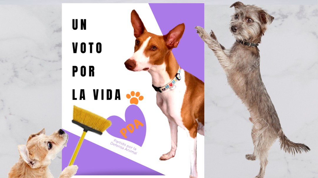Una original campaña "perrectoral" impulsada por Huella a Huella