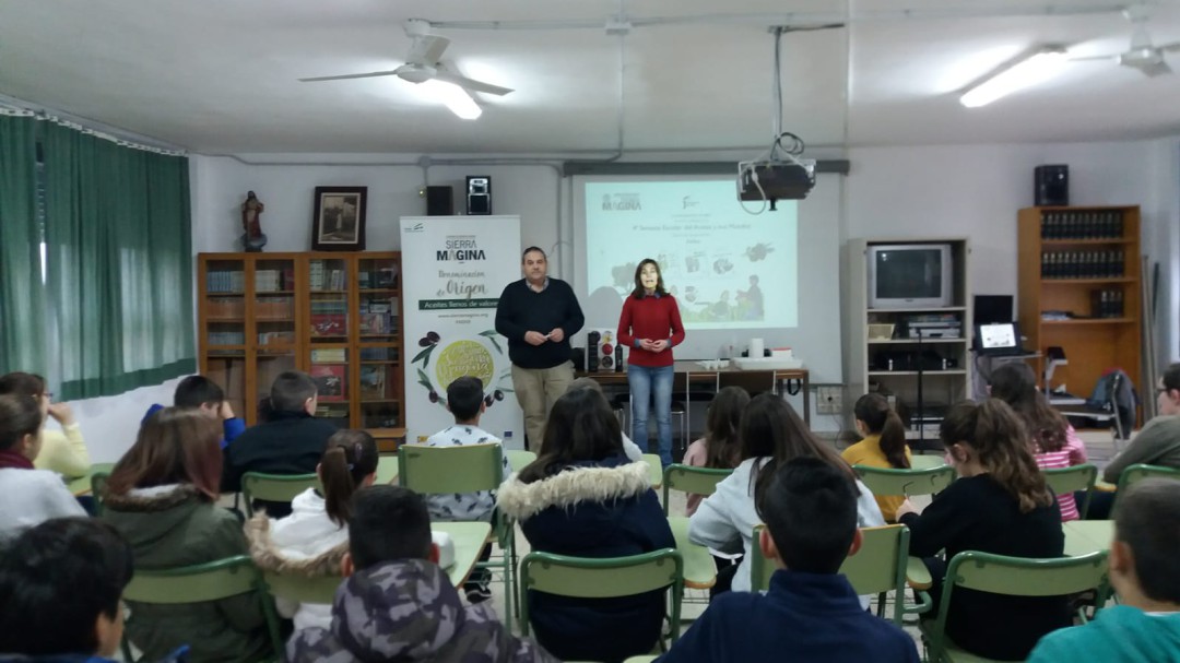 Los escolares 'auténticos expertos' en distinguir la calidad de los aceites