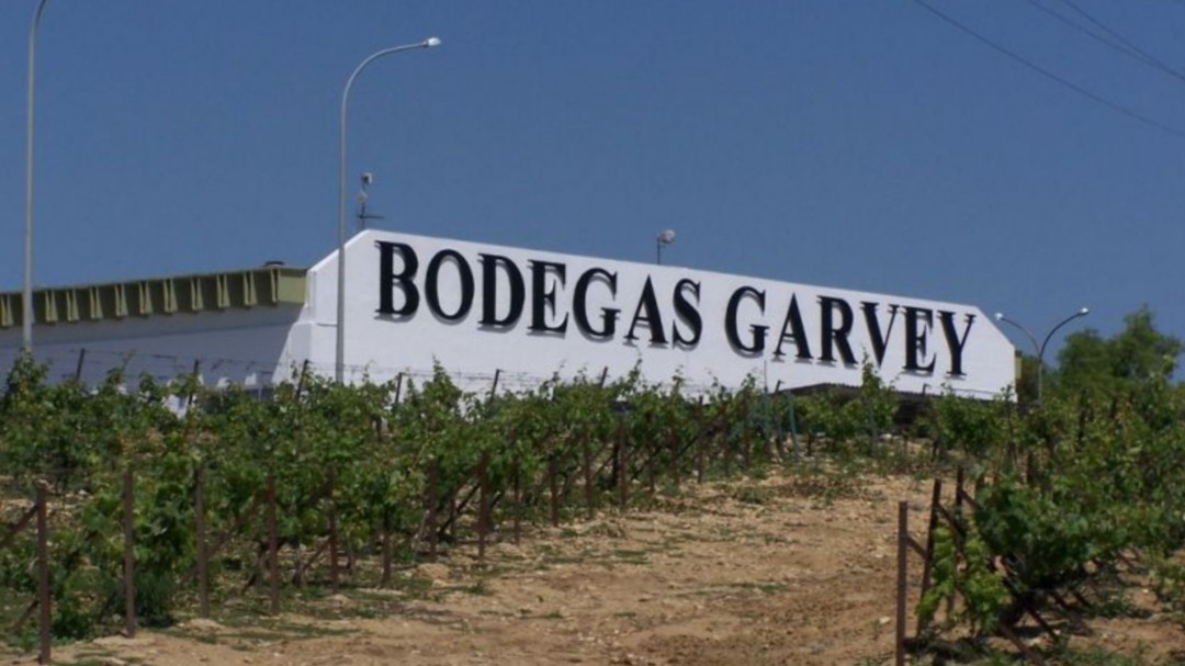 Garvey despide a la mitad de la plantilla