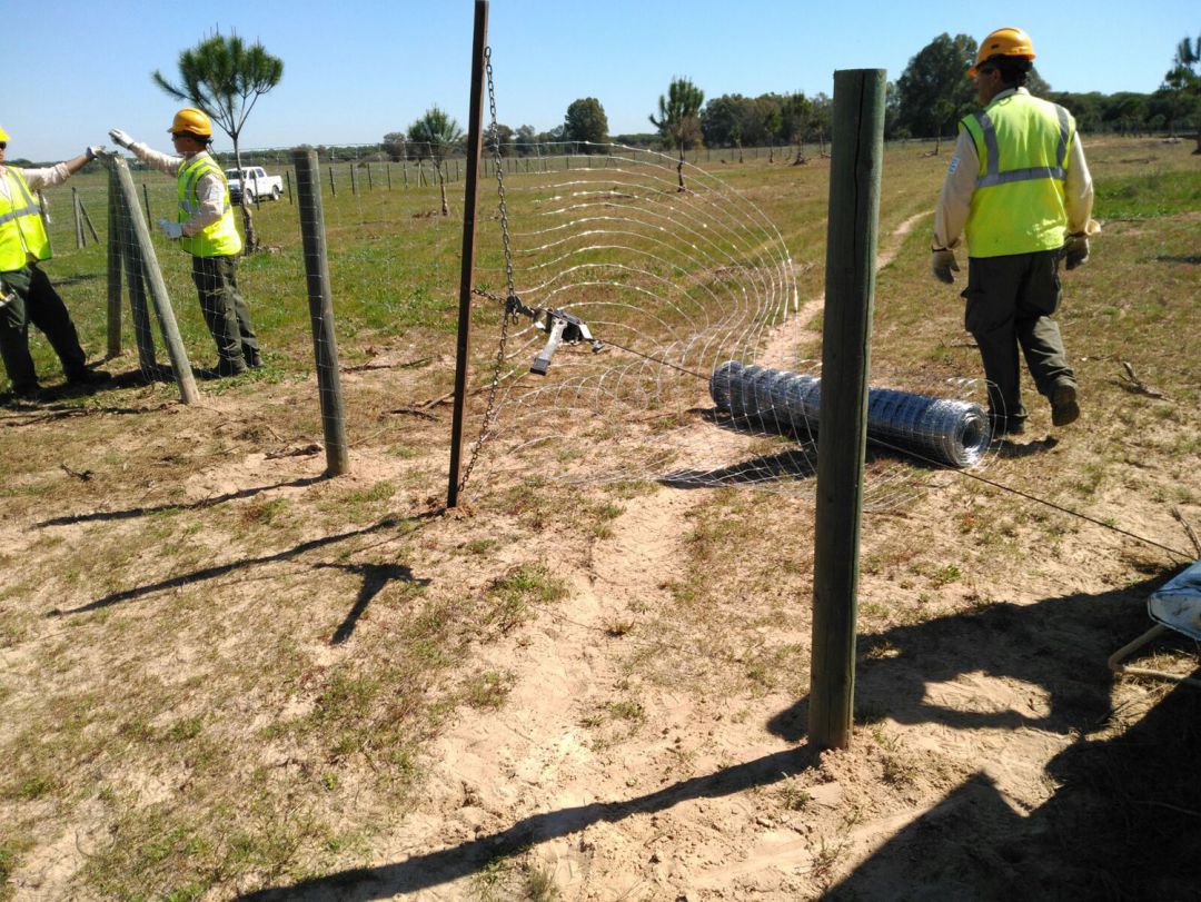 Operarios en Doñana. Operarios en Doñana.